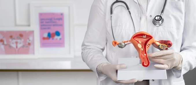 prolapsus-nedir-02 Prolapsus Nedir?